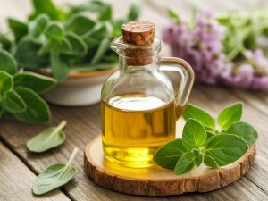 Aceite con oregano: usos, propiedades y beneficios antioxidantes